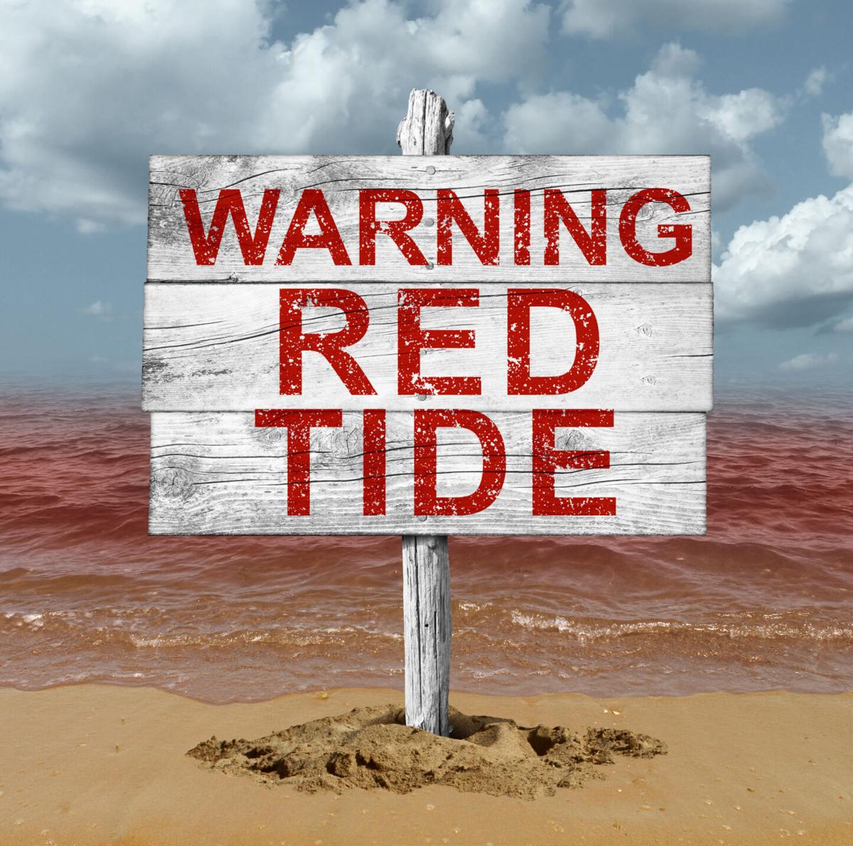 Red Tide Invades Florida — But What Is It? | Boating | floridasportfishing.com