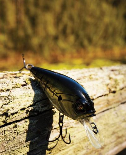 5 Florida Bass Baits You Need in Your Arsenal, FreshWater