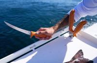 dfo seagod accessories vs fish Dr.Fish Sea Fishing Rig Make up to 50 rigs with the kit When and Where Matter: Why