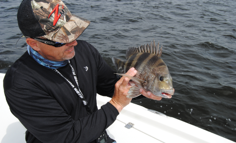 Live Bait Fishing: Abundance of Bait Fish for Charter Fishing in Gulf  Shores, Alabama
