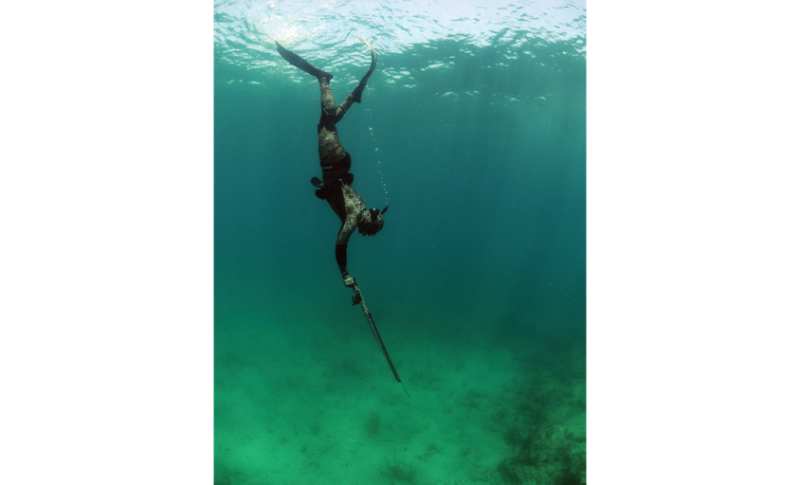 Freediving & Spearfishing Polespears – House of Scuba