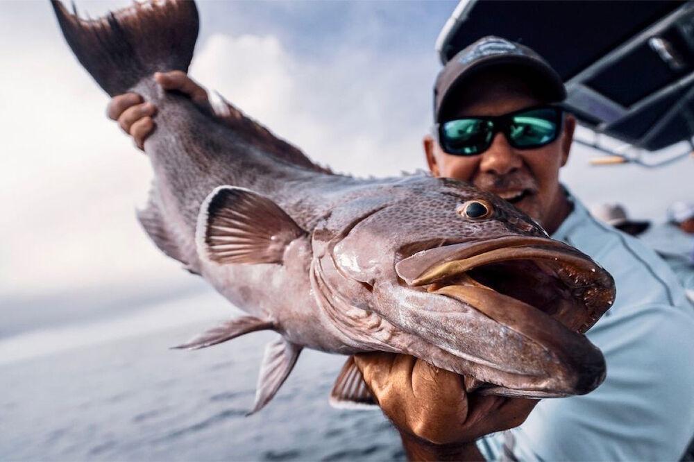 Expert Tactics for Targeting Scamp Grouper, OffShore