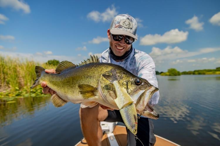 Targeting Bass in Florida Using Glide Baits, FreshWater
