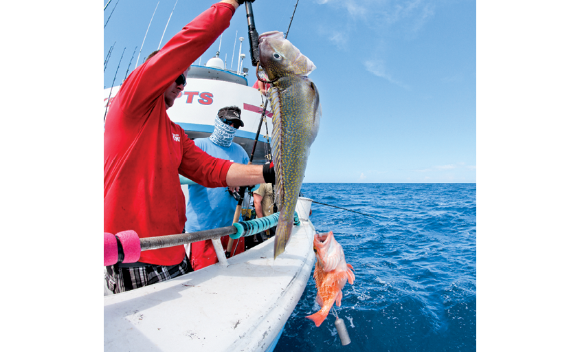 30 lbs Barrel Fish - Picture of Main Attraction Charter Fishing, Marathon -  Tripadvisor
