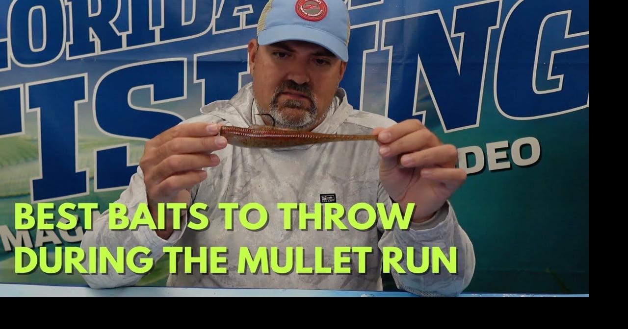 Best Baits to Throw During the Mullet Run | Videos ...