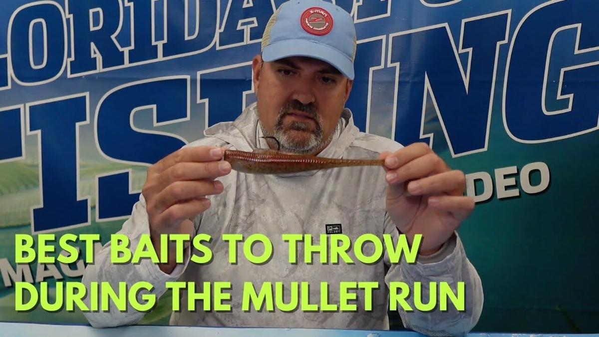 Best Baits to Throw During the Mullet Run, Videos