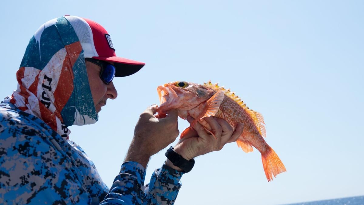 Statewide Tips for Finding and Fooling Golden Tilefish, OffShore