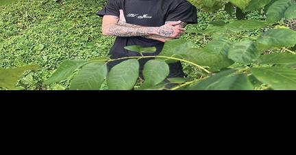 Hip hop artist Lil Jesse headlining concert at BSCTC Prestonsburg - Vimarsana News