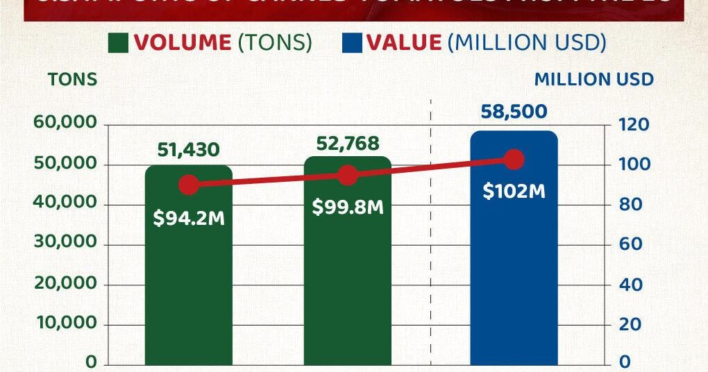 Record-high imports of Italian canned tomatoes to the USA in 2025