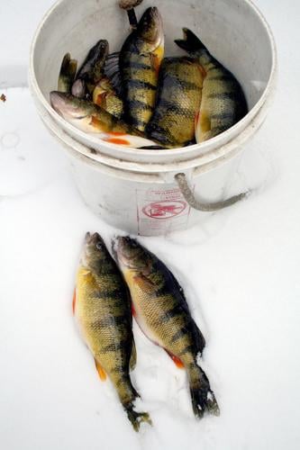 OUTDOORS: A beginner's guide to ice fishing, Sports