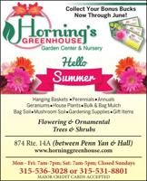 Horning's Greenhouse