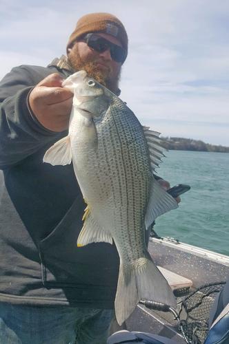 OUTDOORS: Western NY angler nabs state-record white bass, Sports