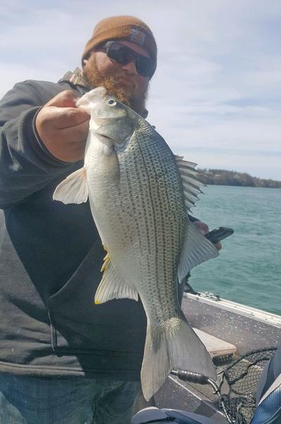 Outdoors Western Ny Angler Nabs State Record White Bass Sports Fltimes Com