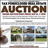 Auction International