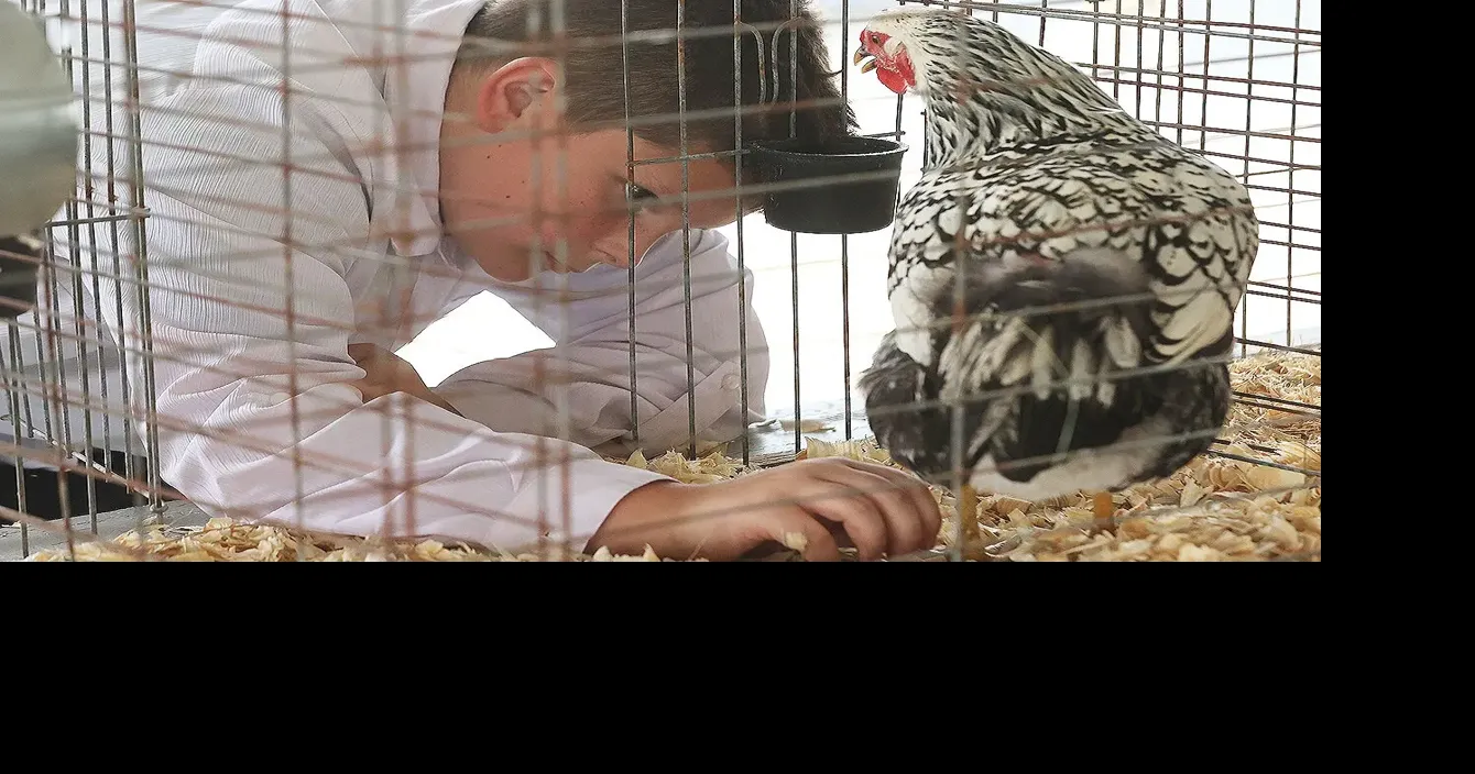 Wayne County Fair returns for 169th year Monday