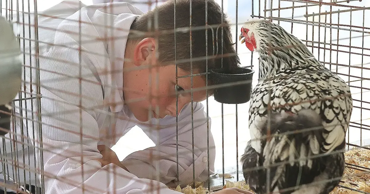 Wayne County Fair returns for 169th year Monday