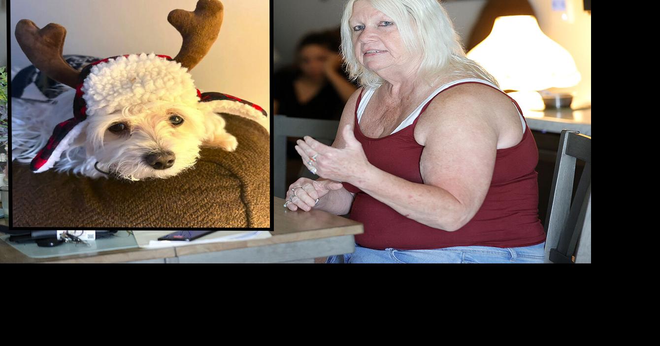 BIGGER PICTURE (Part 2): Doggone crazy