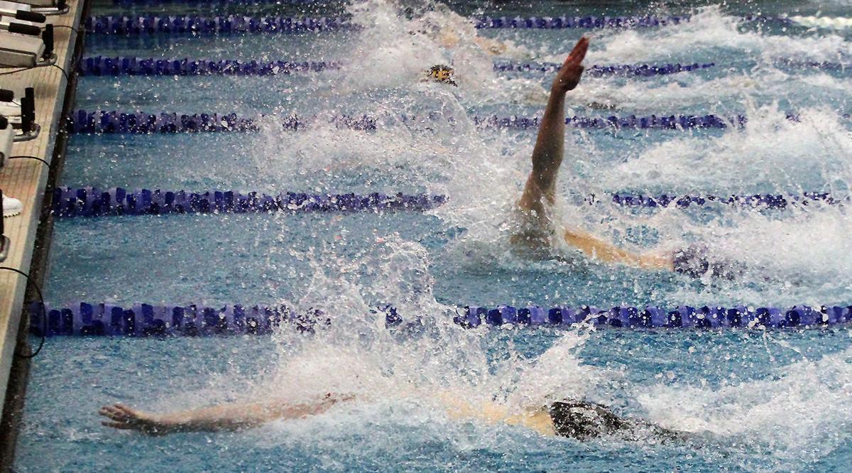 Boys Swimming Fratto Steals Show In Section V Class B Finals Sports Fltimes Com