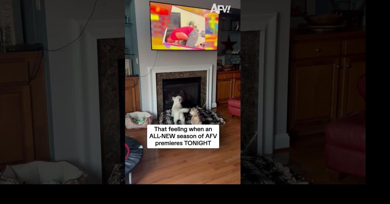 That feeling when an ALL-NEW season of AFV premieres TONIGHT ...