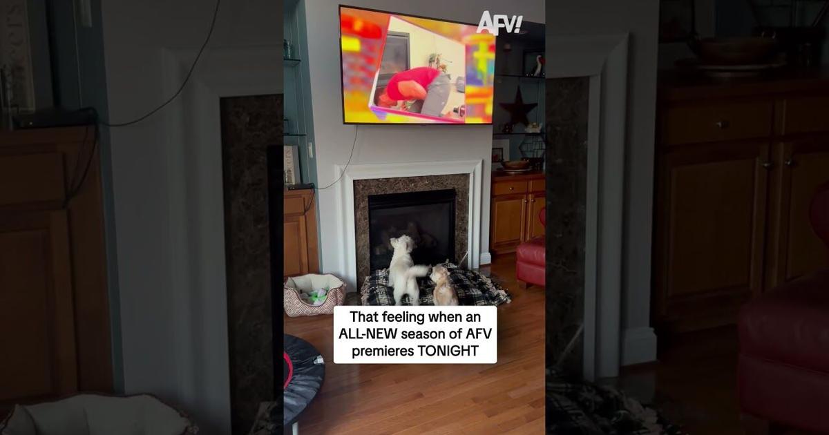 That feeling when an ALL-NEW season of AFV premieres TONIGHT ...