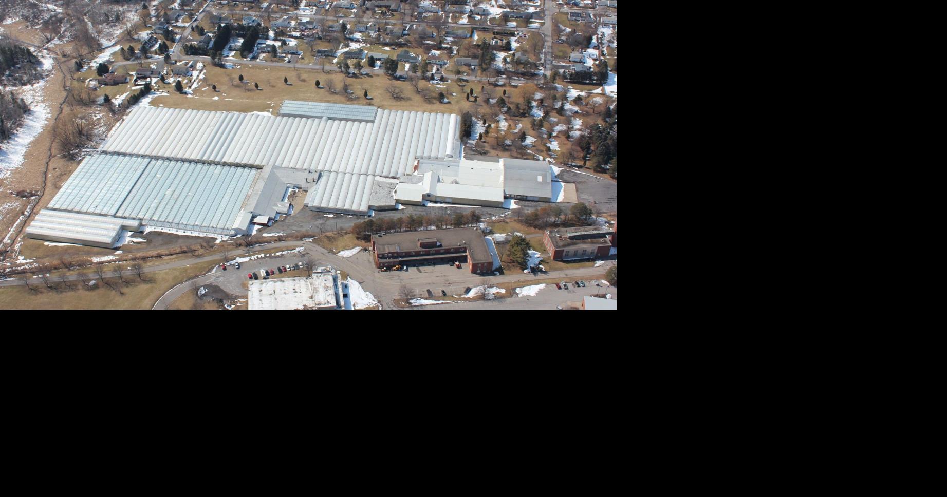 Newark greenhouse owner envisions cannabisgrowing operation