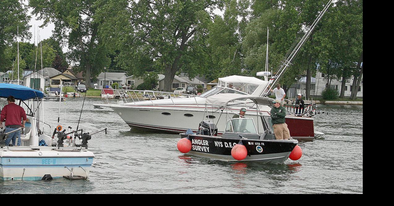 OUTDOORS Parasite, bacteria contribute to alewife dieoff Sports