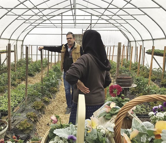 When Table Comes To Farm Mennonite Family Works With Local Chefs To Grow Specialty Items Business Fltimes Com