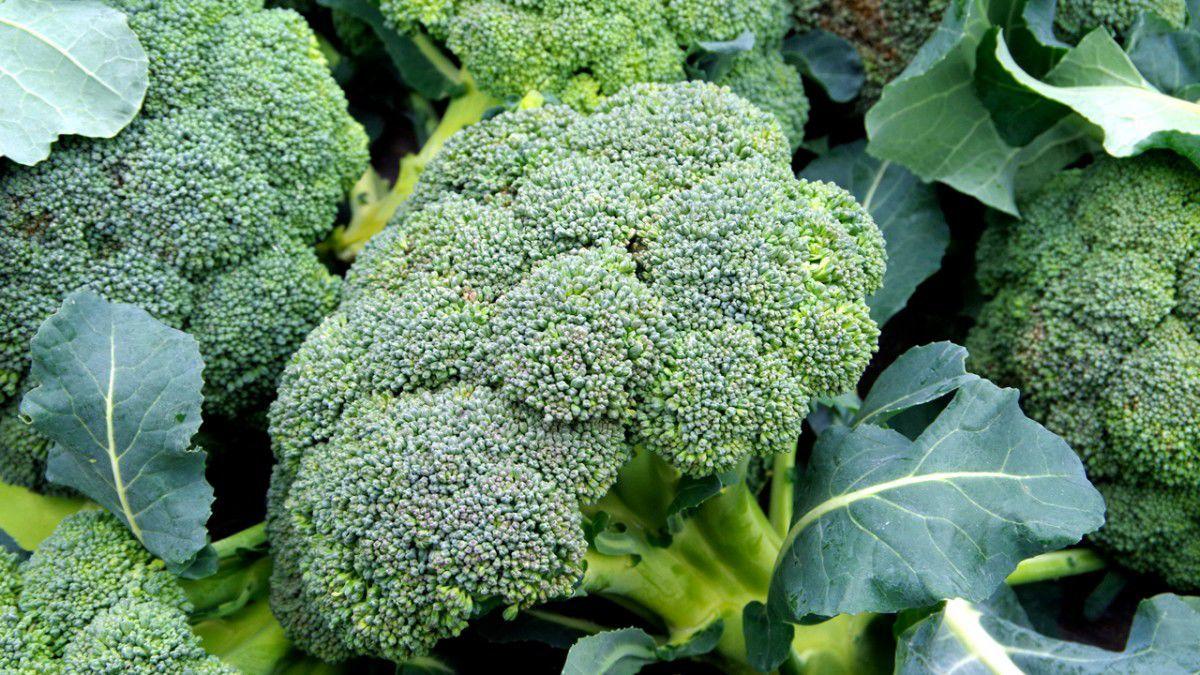 When It Comes To Broccoli Consumers Prefer Local News Fltimes Com