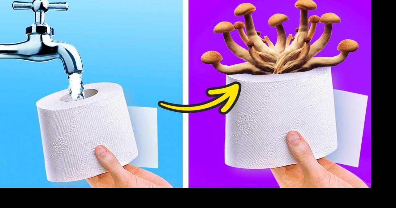 Smart & easy ways to grow plants at home! Videos