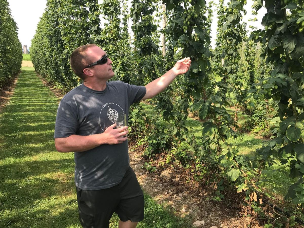 Craft Beer We Feel Like We Are Starting Over News Fltimes Com