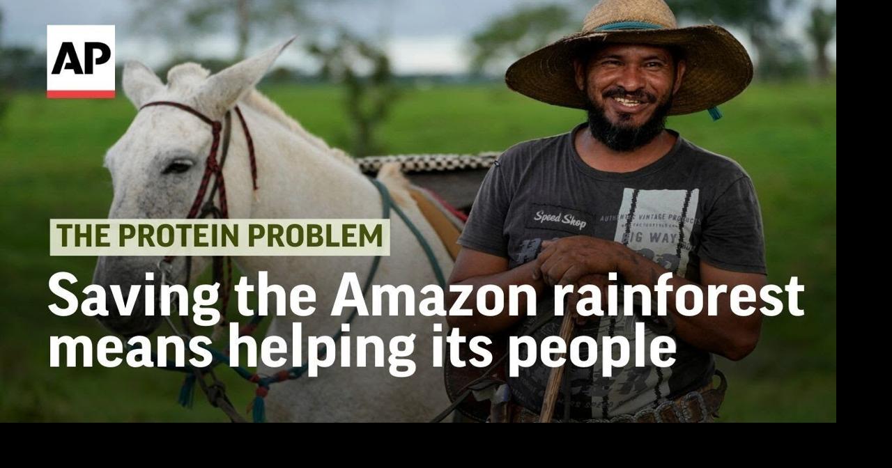 Saving the Amazon rainforest means helping its people | The Protein ...
