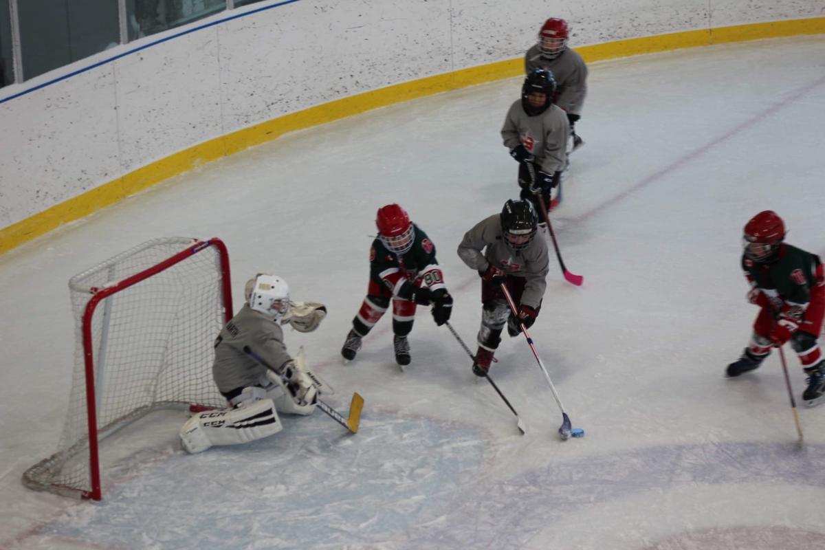 Youth Hockey Geneva Generals Hockey Organization Builds Bridges