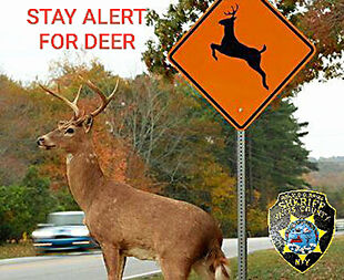 Iowa Department of Transportation on deer crossing signs