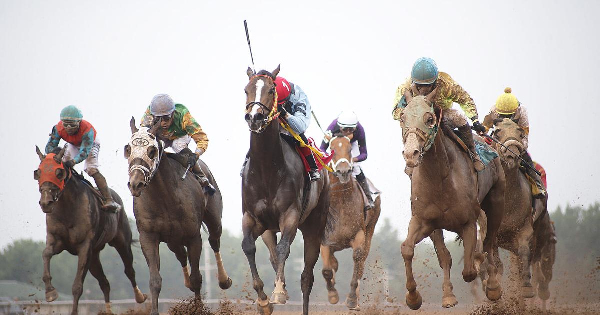 HORSE RACING: Train The Trainer takes New York Derby at FLGR