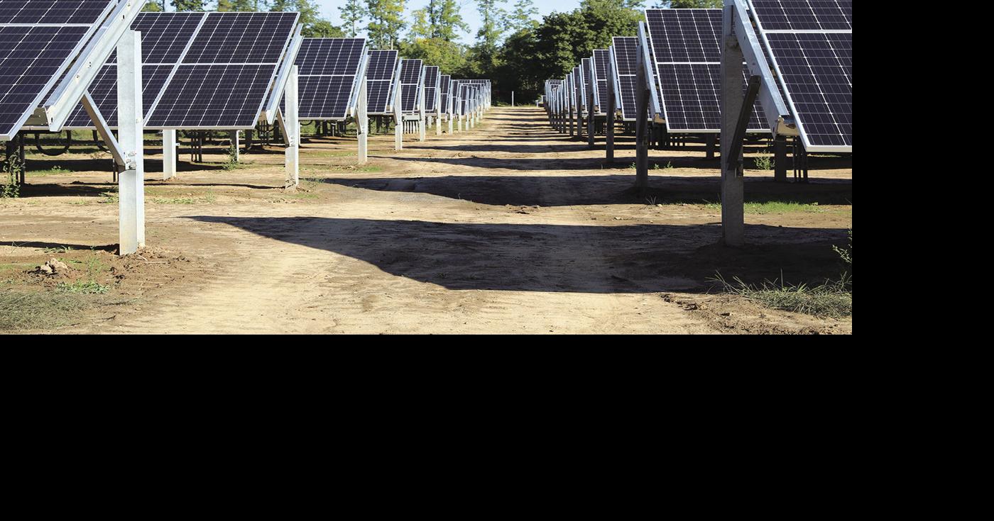 HWS opens first solar farm | News | fltimes.com