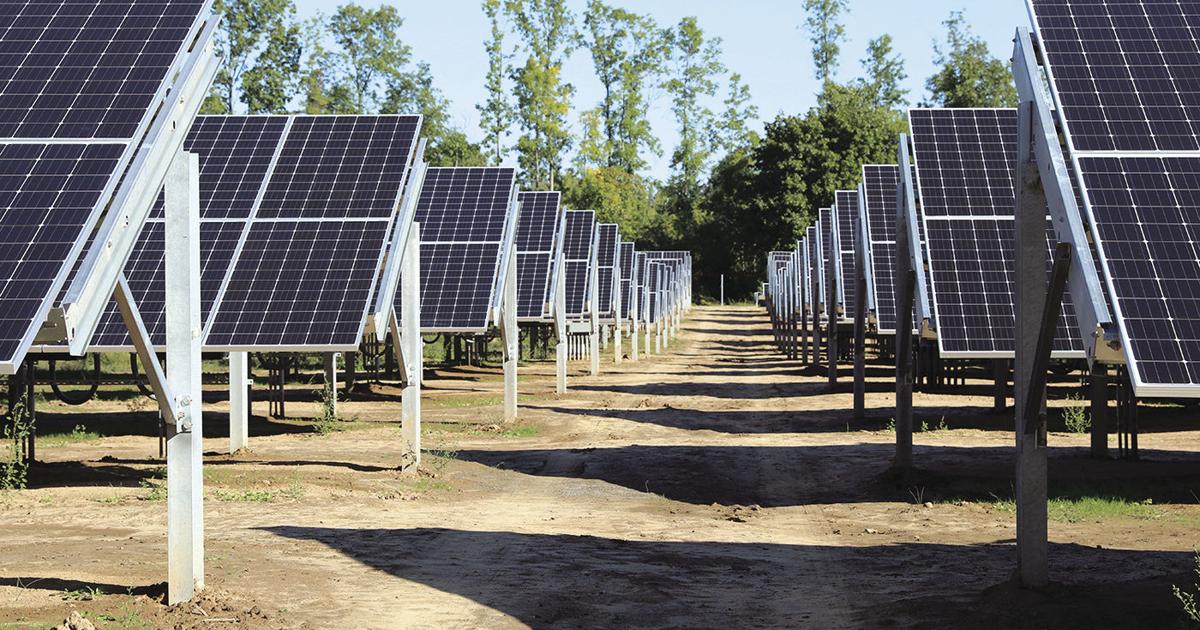 Hws Solar Panel HWS opens first solar farm | News | fltimes.com