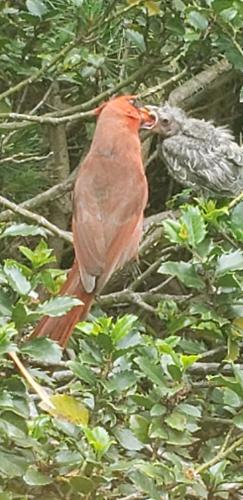 VIEWFINDER: Feeding time