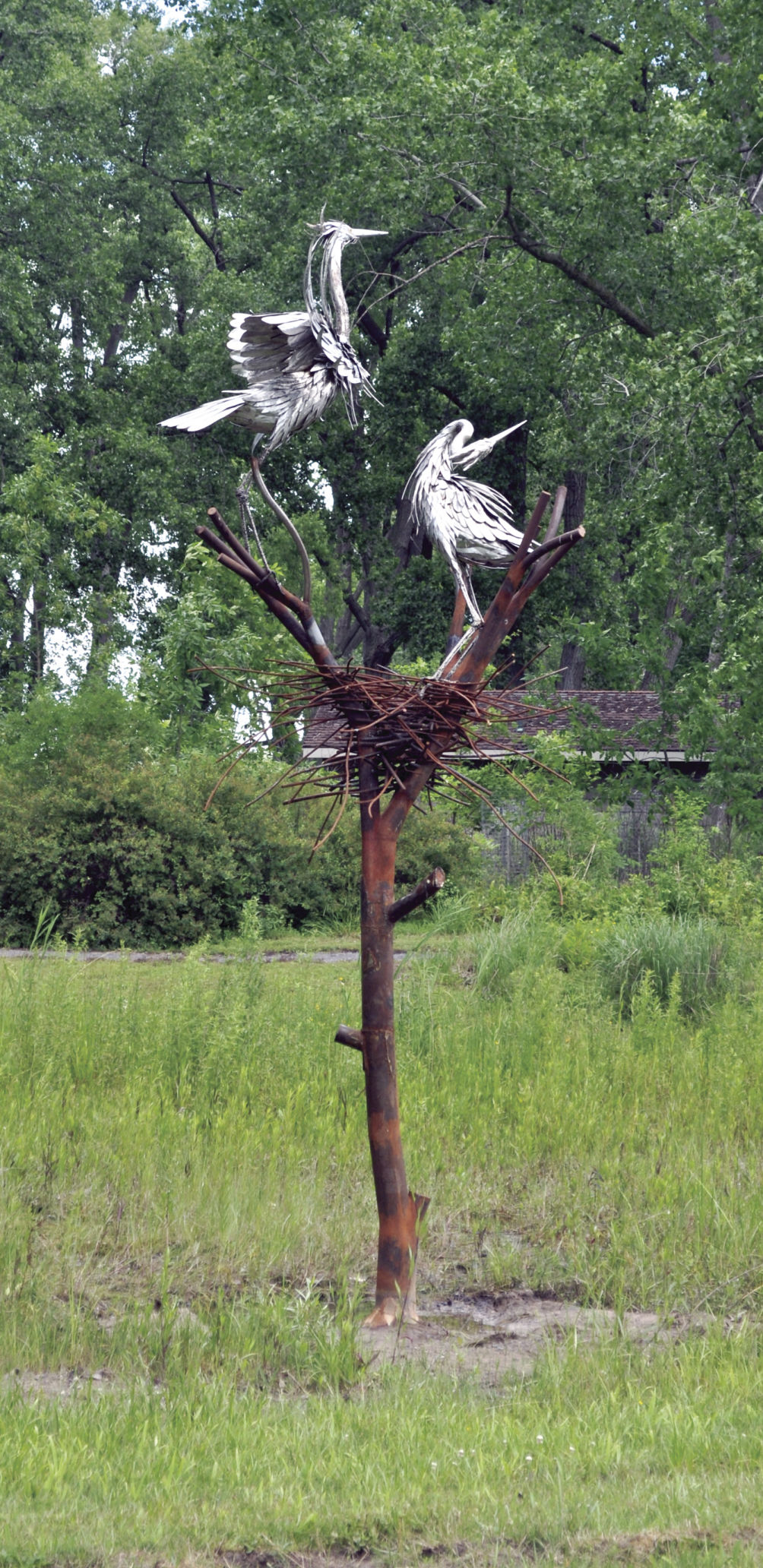 THE HERONS HAVE LANDED Artist’s new sculpture joins eagle at wildlife