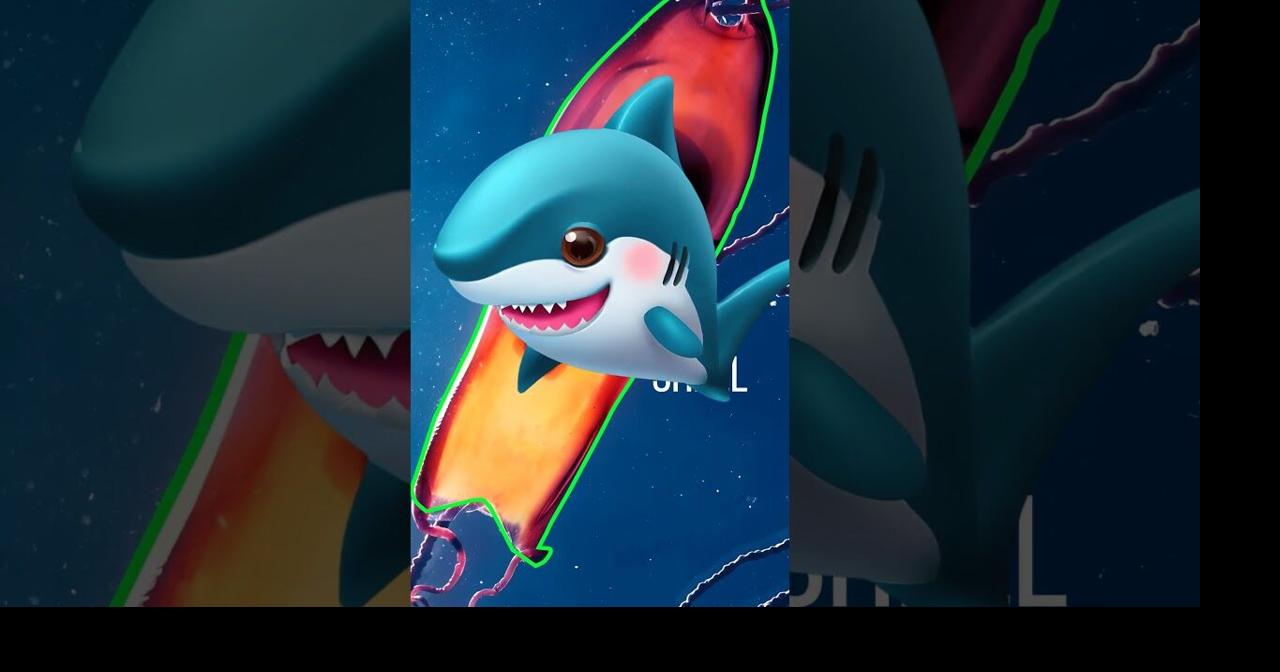 Sharks Lay Eggs?! | Videos | fltimes.com