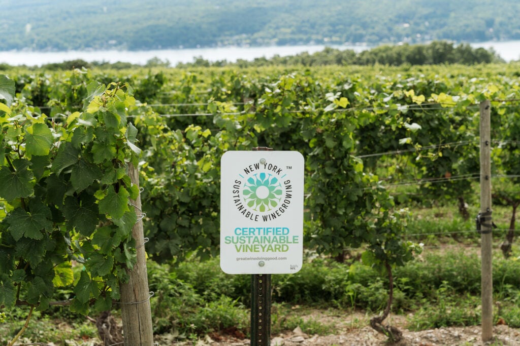 Wine & Grape Foundation adds 27 vineyards to sustainability program
