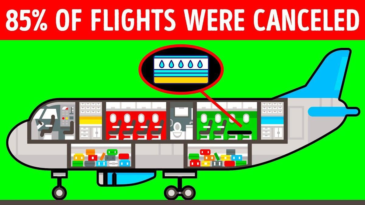 What Ruined The Airline That Offered Waterbeds And Organic Food Videos Fltimes Com