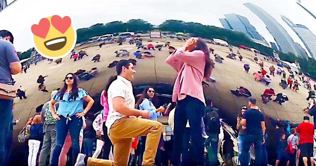 Proposal Fail Funny Proposal Fails That Warm the Heart οΈ οΈ | | fltimes.com