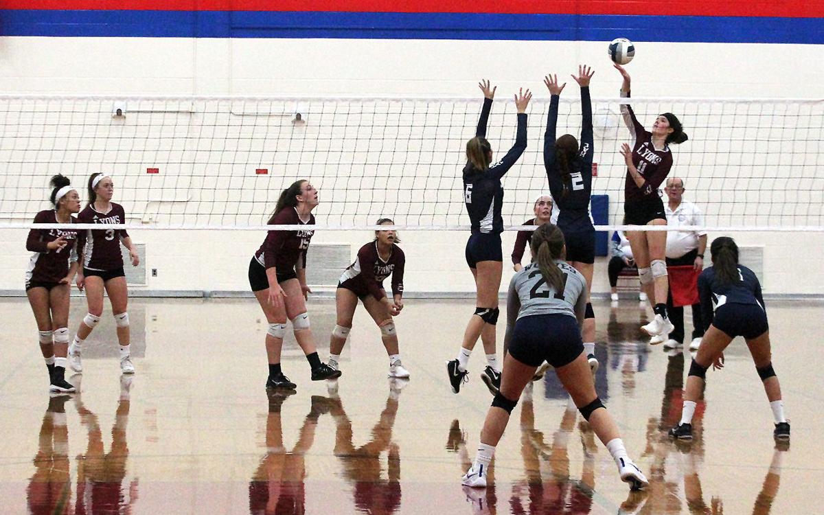 Girls Volleyball Hac Defeats Lyons In Section V Class D2 Final Sports Fltimes Com