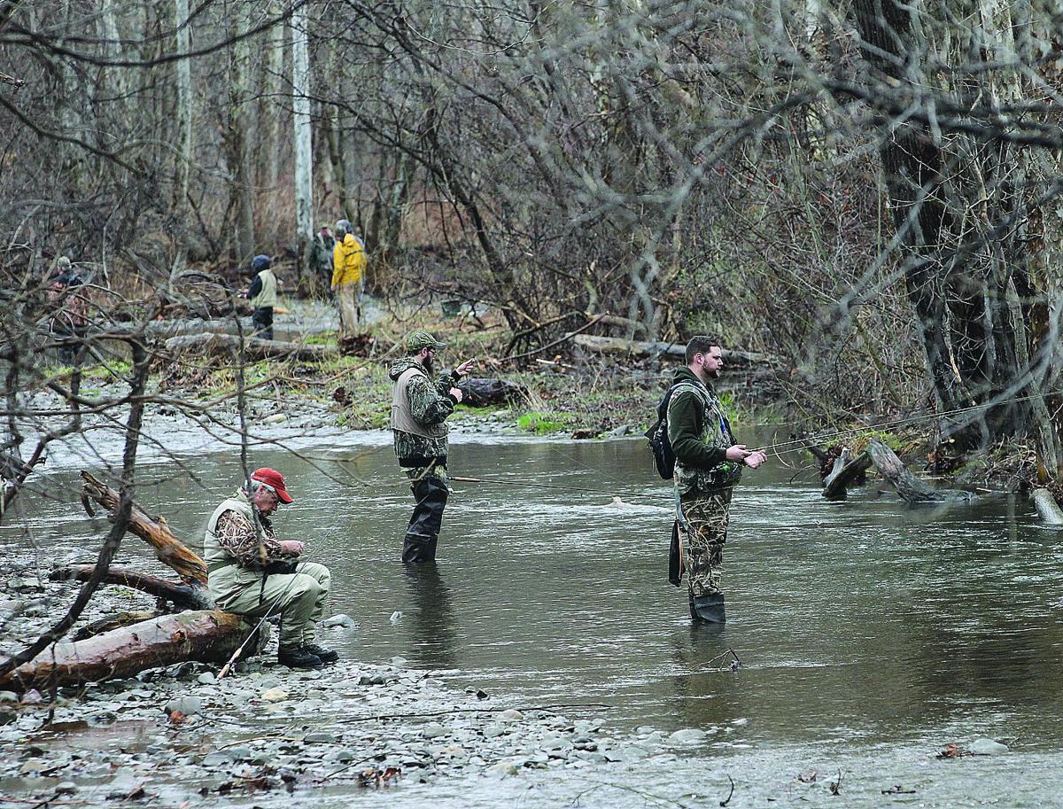 OUTDOORS Top Naples derby fish is 9.5pounder Sports