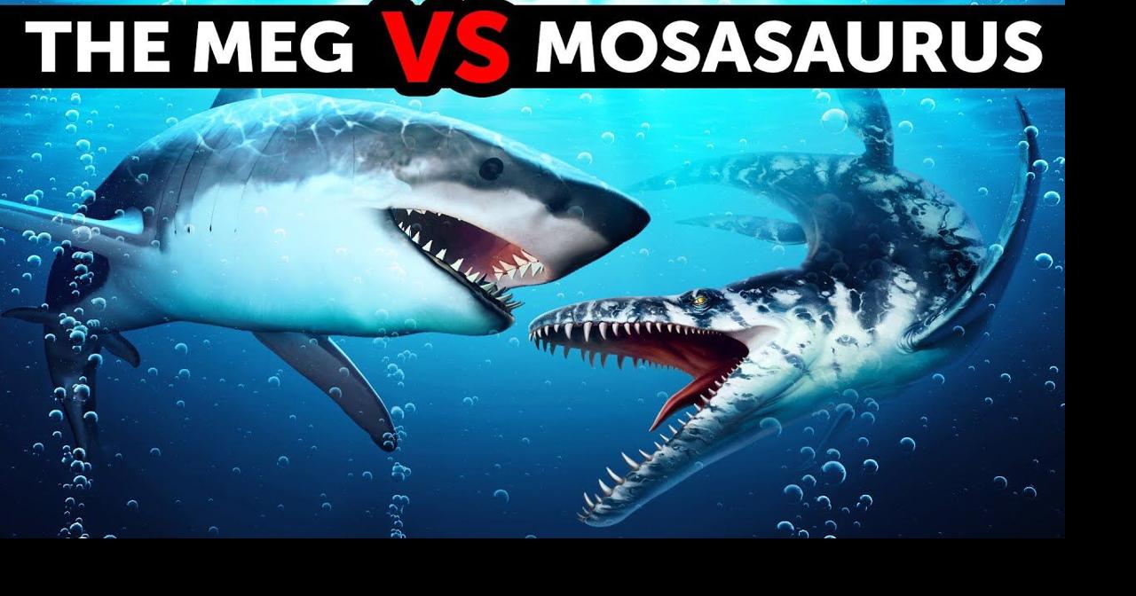megalodon vs godzilla videos