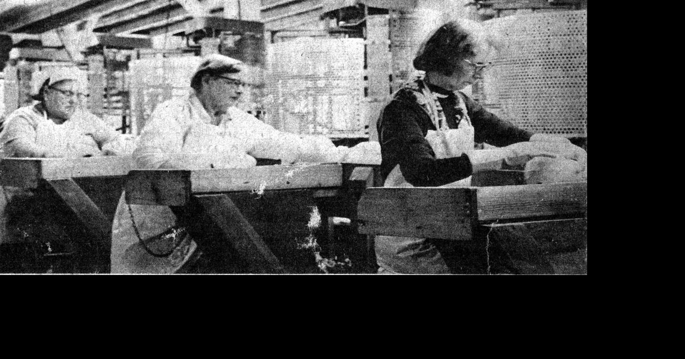 WAY BACK WHEN IN ONTARIO COUNTY The other Phelps sauerkraut factory