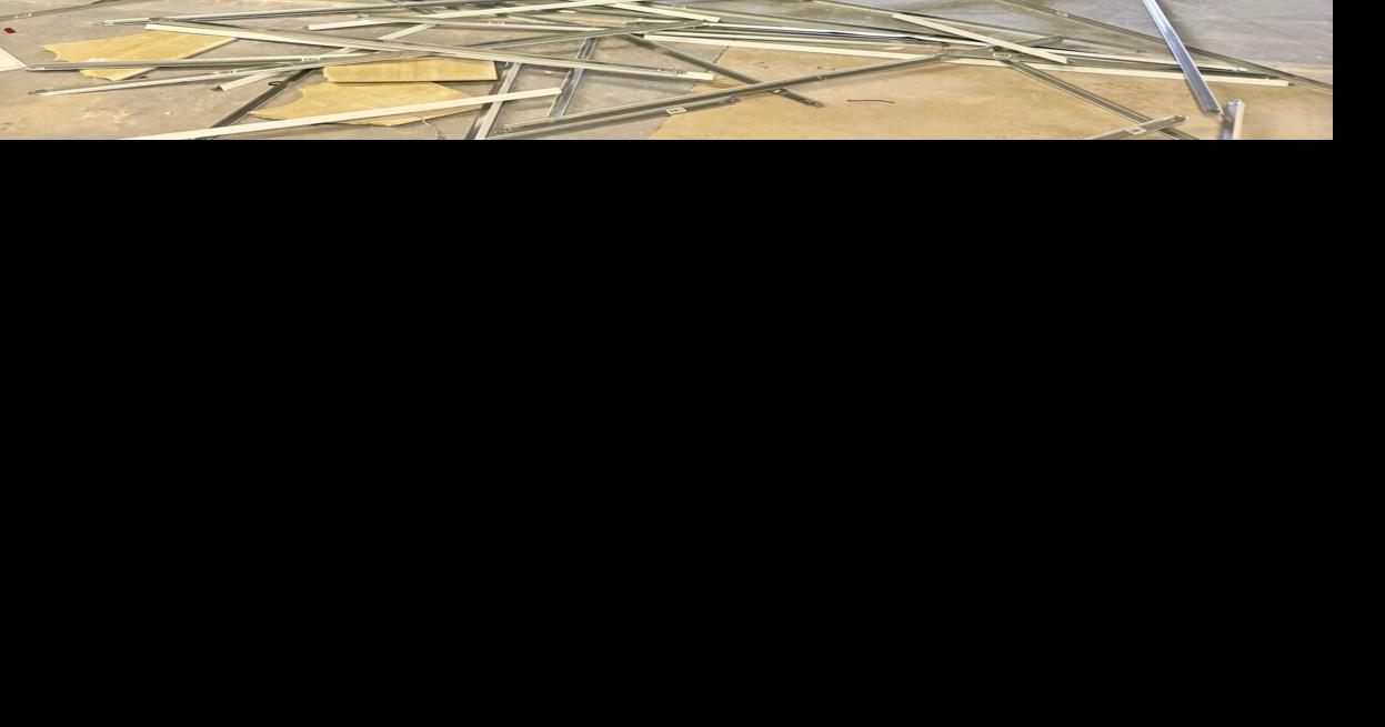 L2 Wellness Co. slated to open in Canandaigua