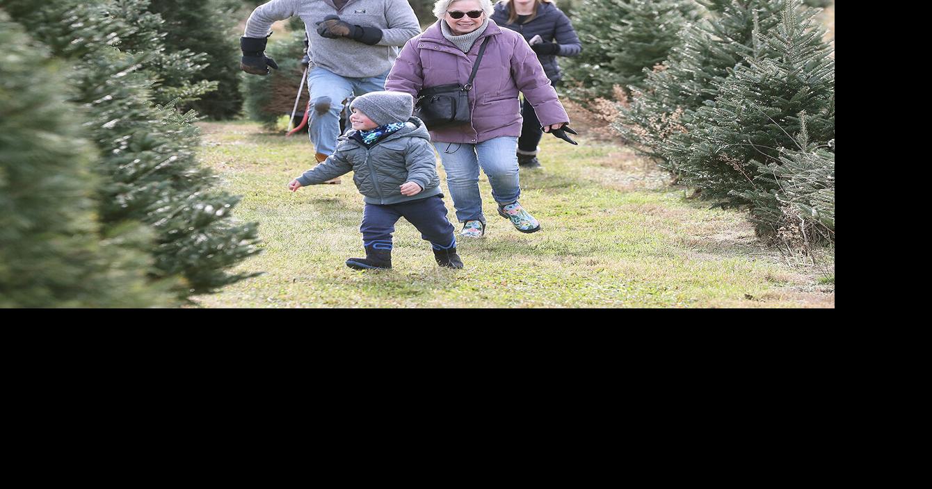 Christmas tree industry has $14 million impact in New York