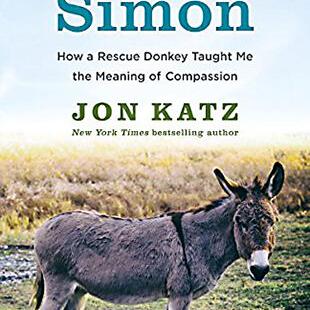 BOOK REVIEW: 'Saving Simon' - Vimarsana News