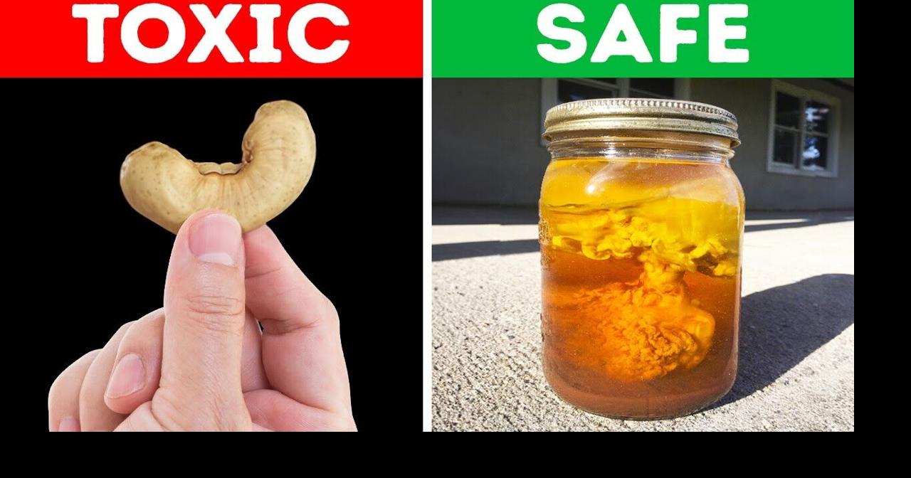 100 Banned Things Worldwide That Will Leave You Stunned! | Videos ...